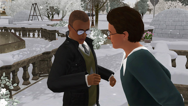 sim1532.jpg