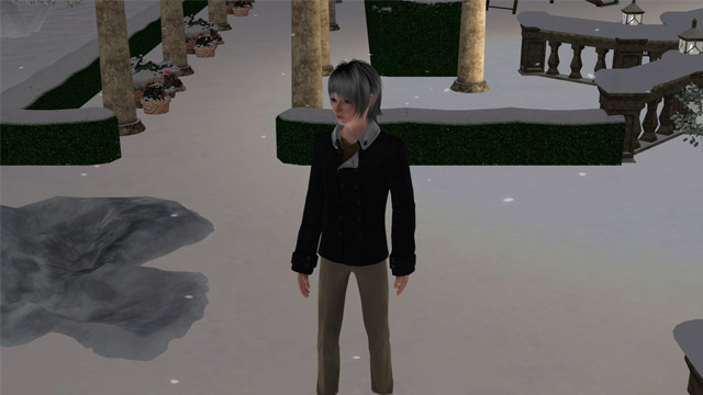 sim1539.jpg
