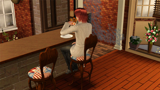 sim1543.jpg