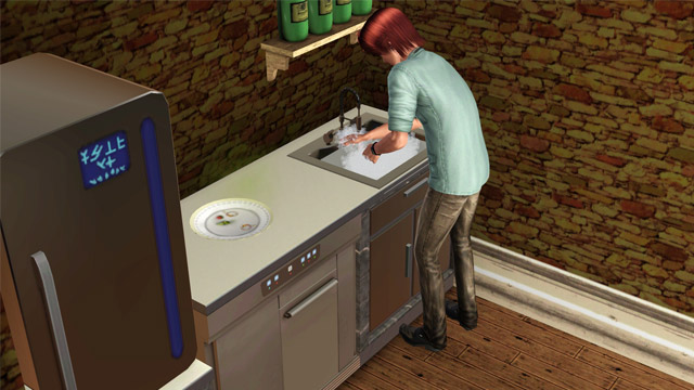 sim1747.jpg