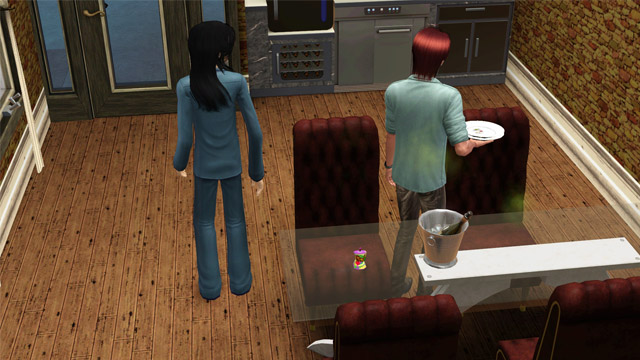 sim1748.jpg