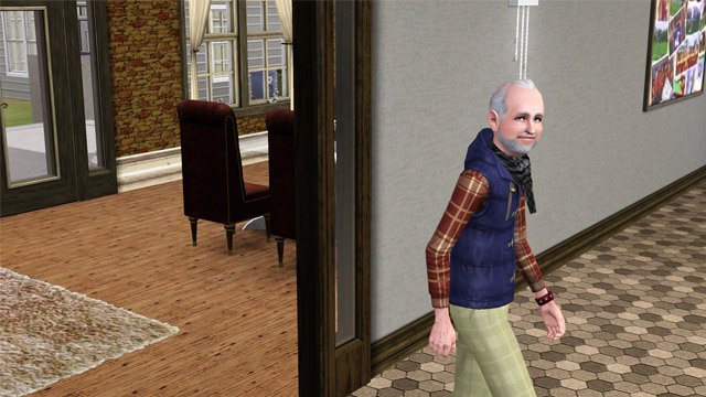 sim1752.jpg