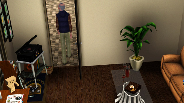 sim1754.jpg