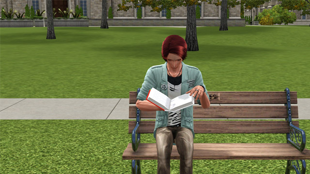 sim1755.jpg