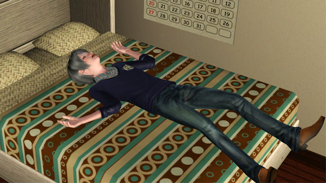 sim1829.jpg