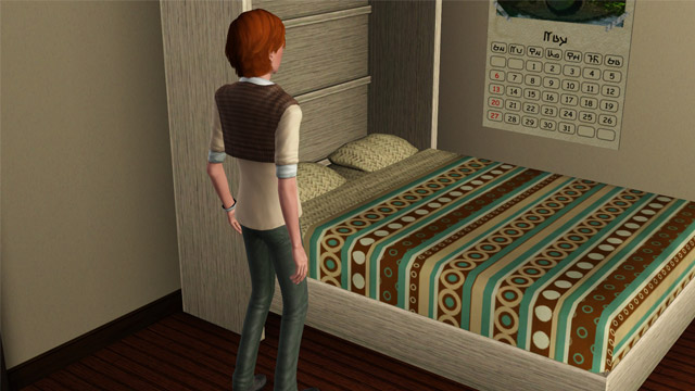 sim1830.jpg