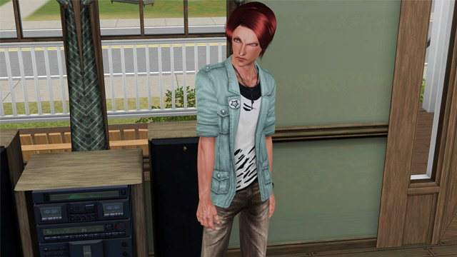 sim1836.jpg