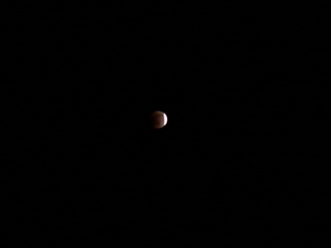 P1000498.jpg