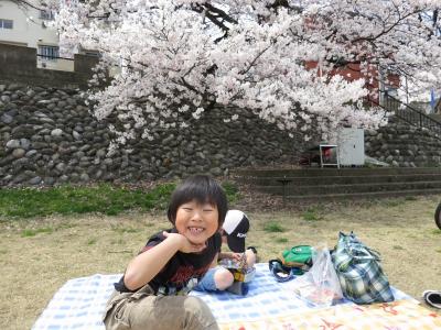 石川県金沢市 犀川 桜 お花見 中村町保育園
