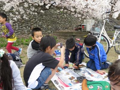 石川県金沢市 犀川 桜 お花見 中村町保育園
