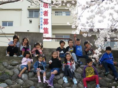 石川県金沢市 犀川 桜 お花見 中村町保育園