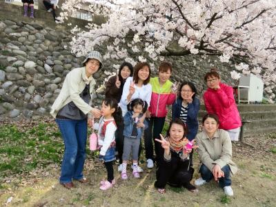 石川県金沢市 犀川 桜 お花見 中村町保育園