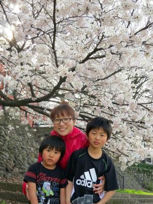 石川県金沢市 犀川 桜 お花見 中村町保育園