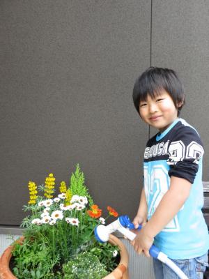 寄せ植え 石川県金沢市