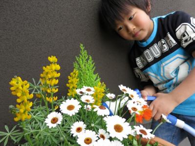 寄せ植え 石川県金沢市