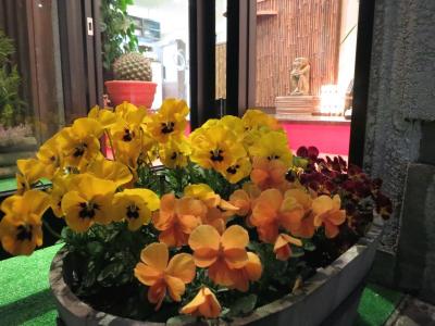 寄せ植え 石川県金沢市