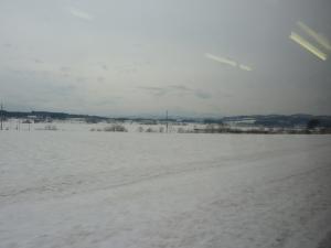 resize0141.jpg