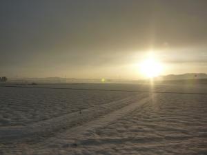resize0167.jpg