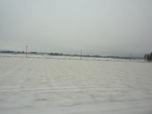 resize0190.jpg