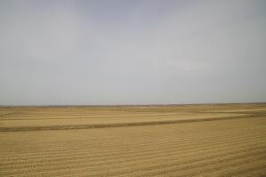 resize0239.jpg