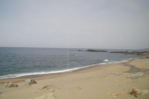 resize0245.jpg