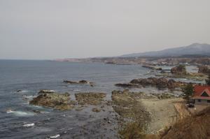 resize0250.jpg