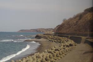 resize0253.jpg