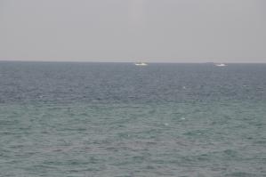 resize0254.jpg