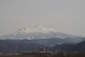 resize0256.jpg