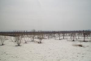 resize0258.jpg