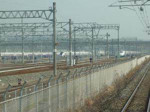 resize0274.jpg