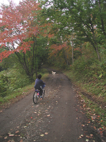 2011_10_15_2