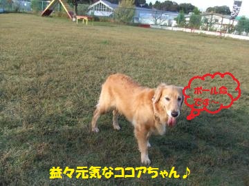 022_convert_20111025233840.jpg