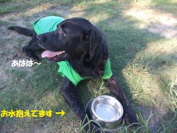 055_convert_20110929230553.jpg