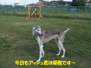 103_convert_20110929233111.jpg