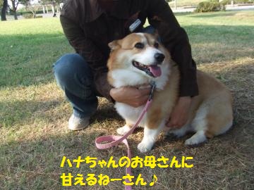 119_convert_20111012224753.jpg