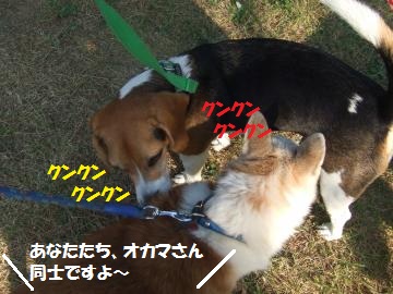 123_convert_20111012225250.jpg