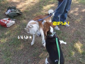 130_convert_20111012225007.jpg