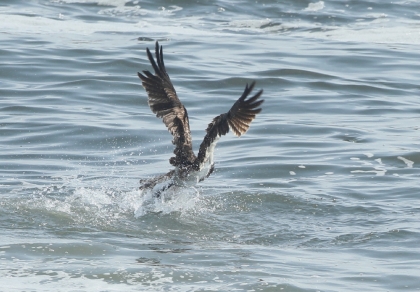 140203-480.jpg