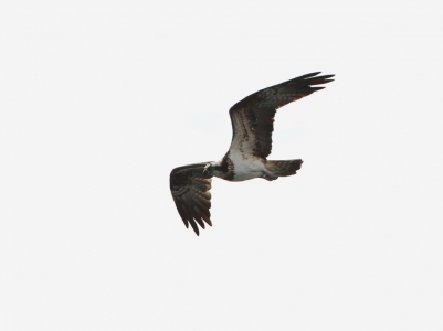 140212-192.jpg