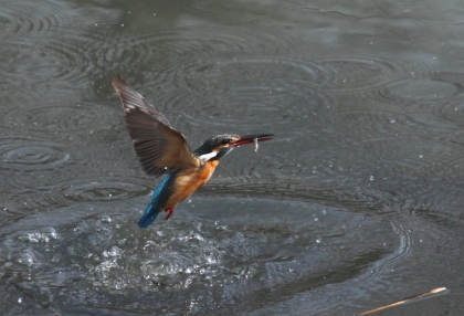 140217-IMG_5440.jpg