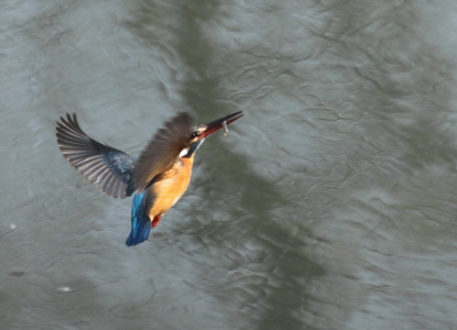 140217-IMG_5443.jpg