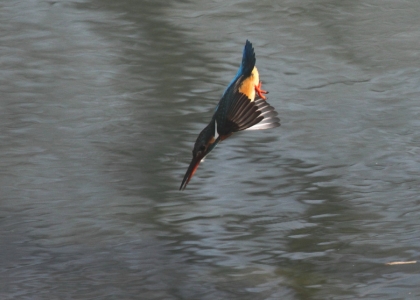 140217-IMG_5581.jpg