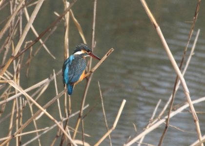 140217-IMG_5699.jpg