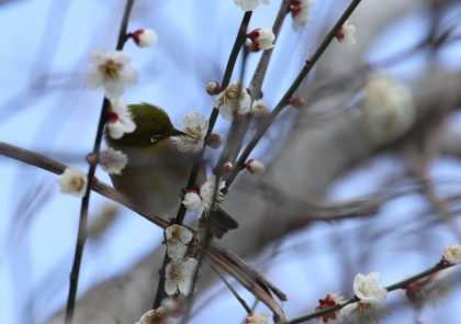 140221-004.jpg