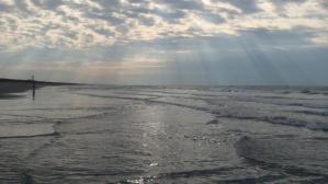 浜松サーフ