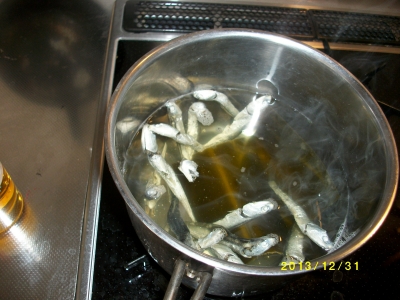 IMGP8108.jpg