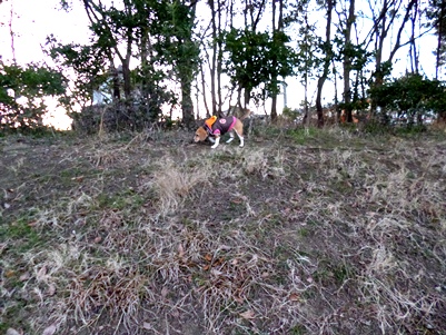 P1020190.jpg
