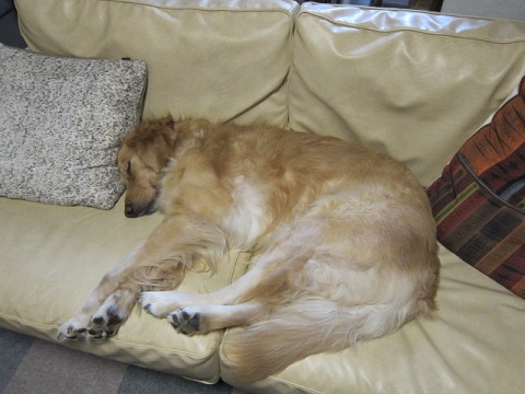 00520131227hana.jpg