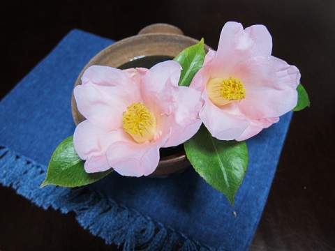 00520131229tubaki.jpg